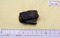 藏品(破骨一塊)的圖片